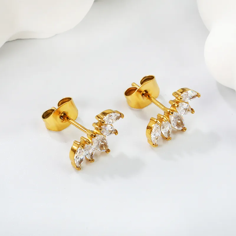 Puce d'oreilles - Loty