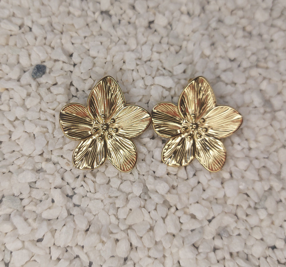 Coffret Flor - Christmas ✨️