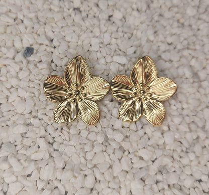 Coffret Flor - Christmas ✨️