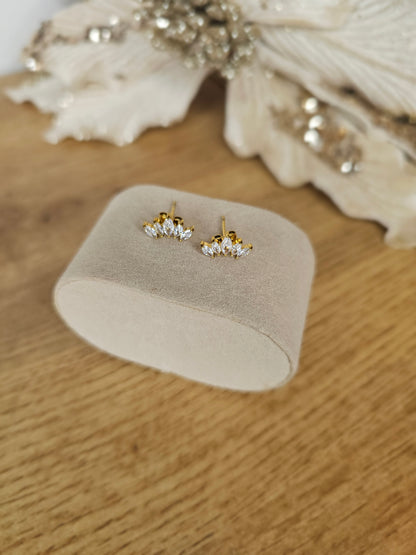 Puce d'oreilles - Loty