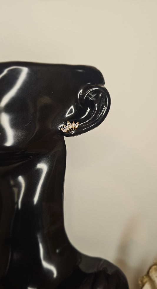 Puce d'oreilles - Loty